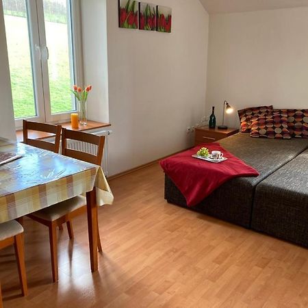 Horsky Apartman V Karlovicich Karlovice (Moravia-Silesia) Exterior photo